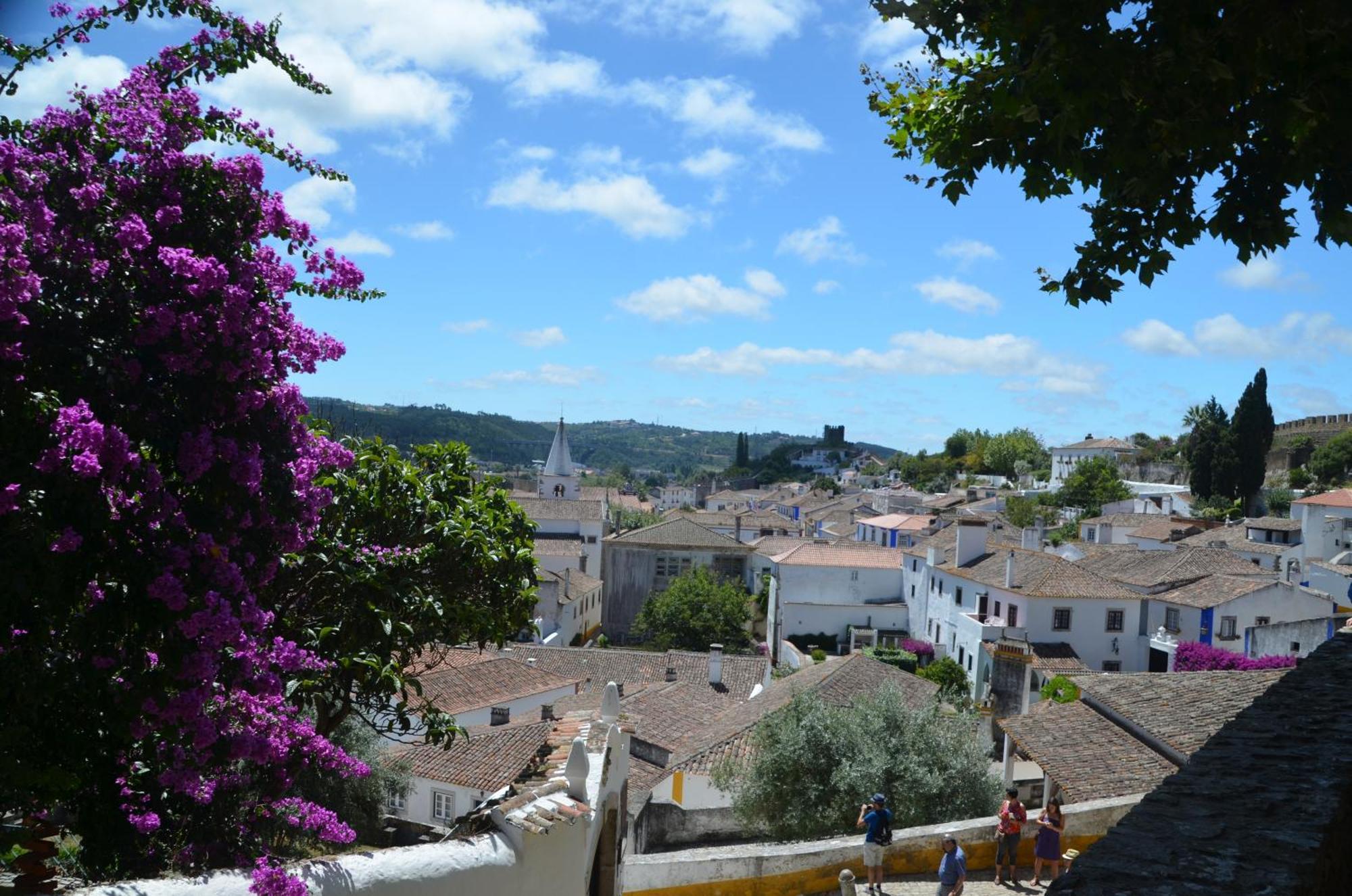Cazenn Salir Do Porto - Holiday House Salir de Porto المظهر الخارجي الصورة